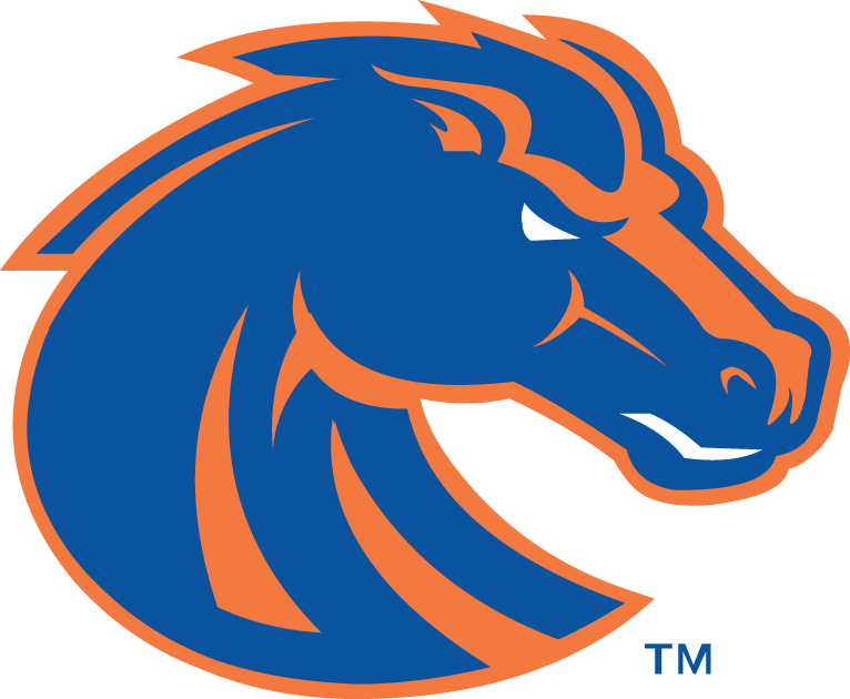 Boise State Broncos 2002-2012 Secondary Logo v2 diy fabric transfer